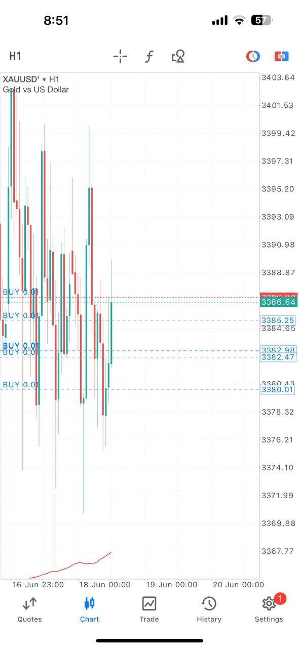 Ajmal Idlan gold profit forecast and results June 2025
