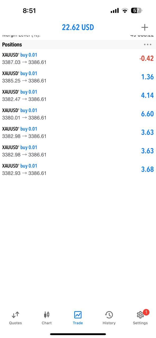 Ajmal Idlan gold profit forecast and results June 2025